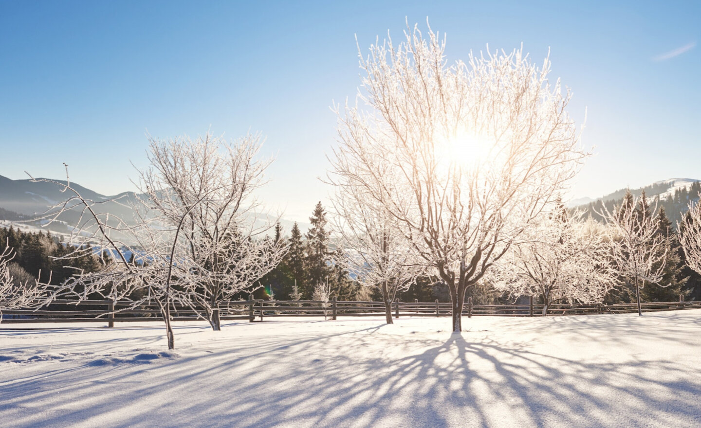 Image of Wonderful Winter