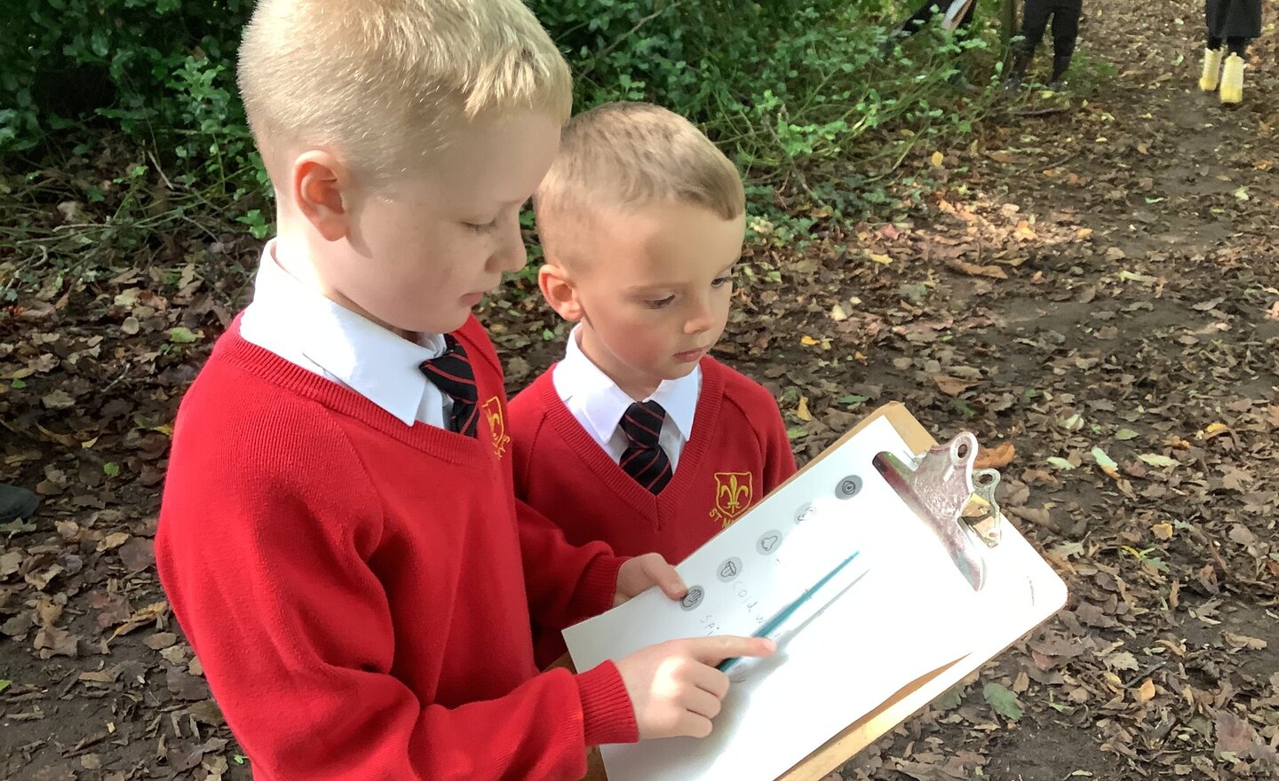 Image of Autumn Poetry