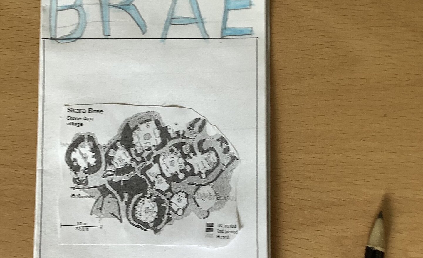 Image of Beans and Buildings!!