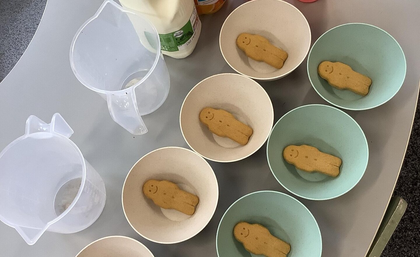 Image of Gingerbread experiment