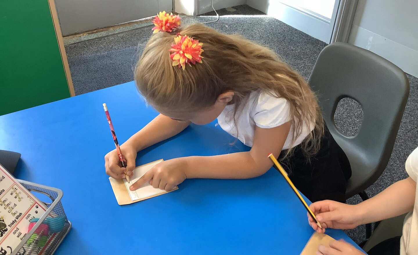 Image of Seed packets