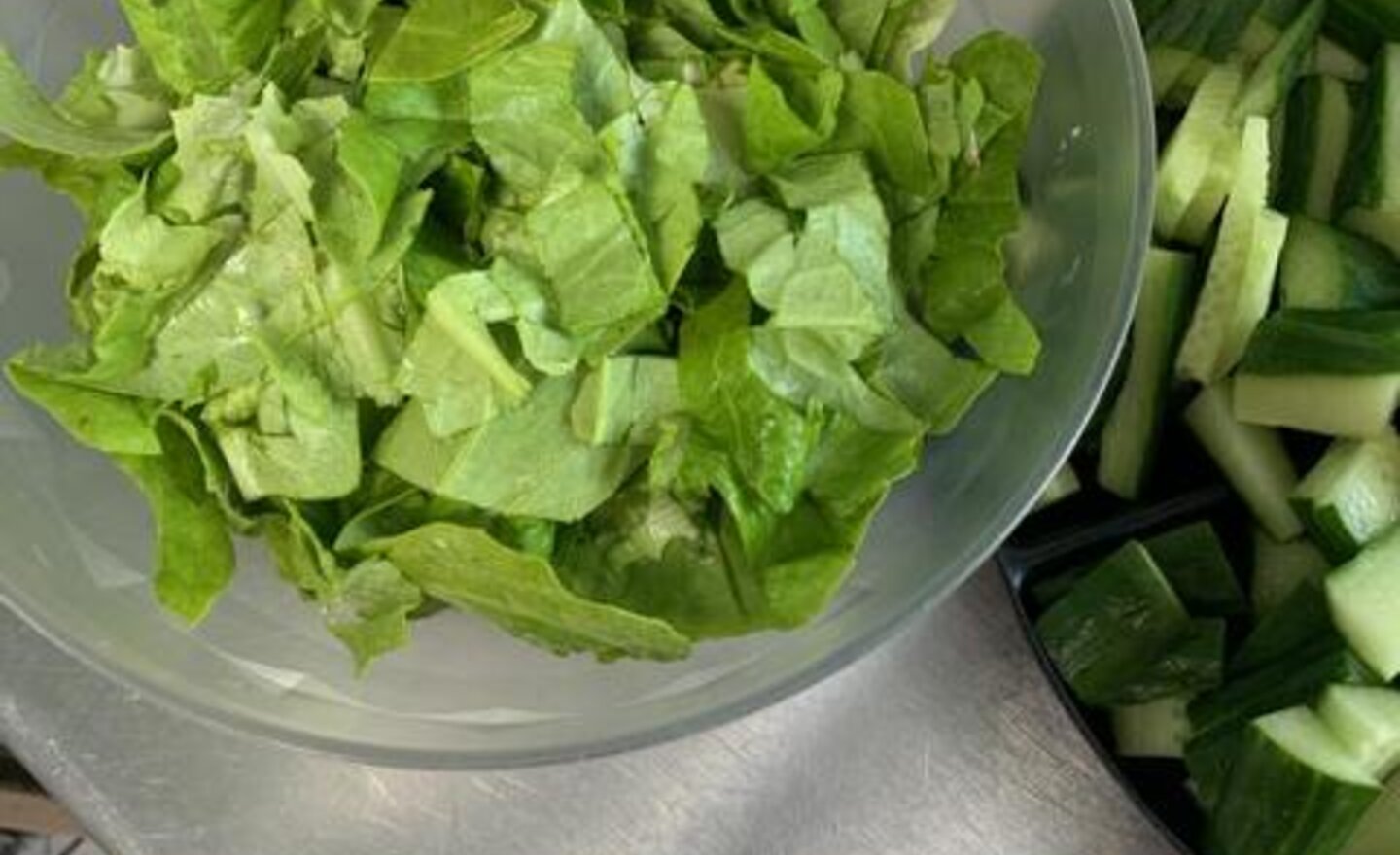 Image of From seed to plate!