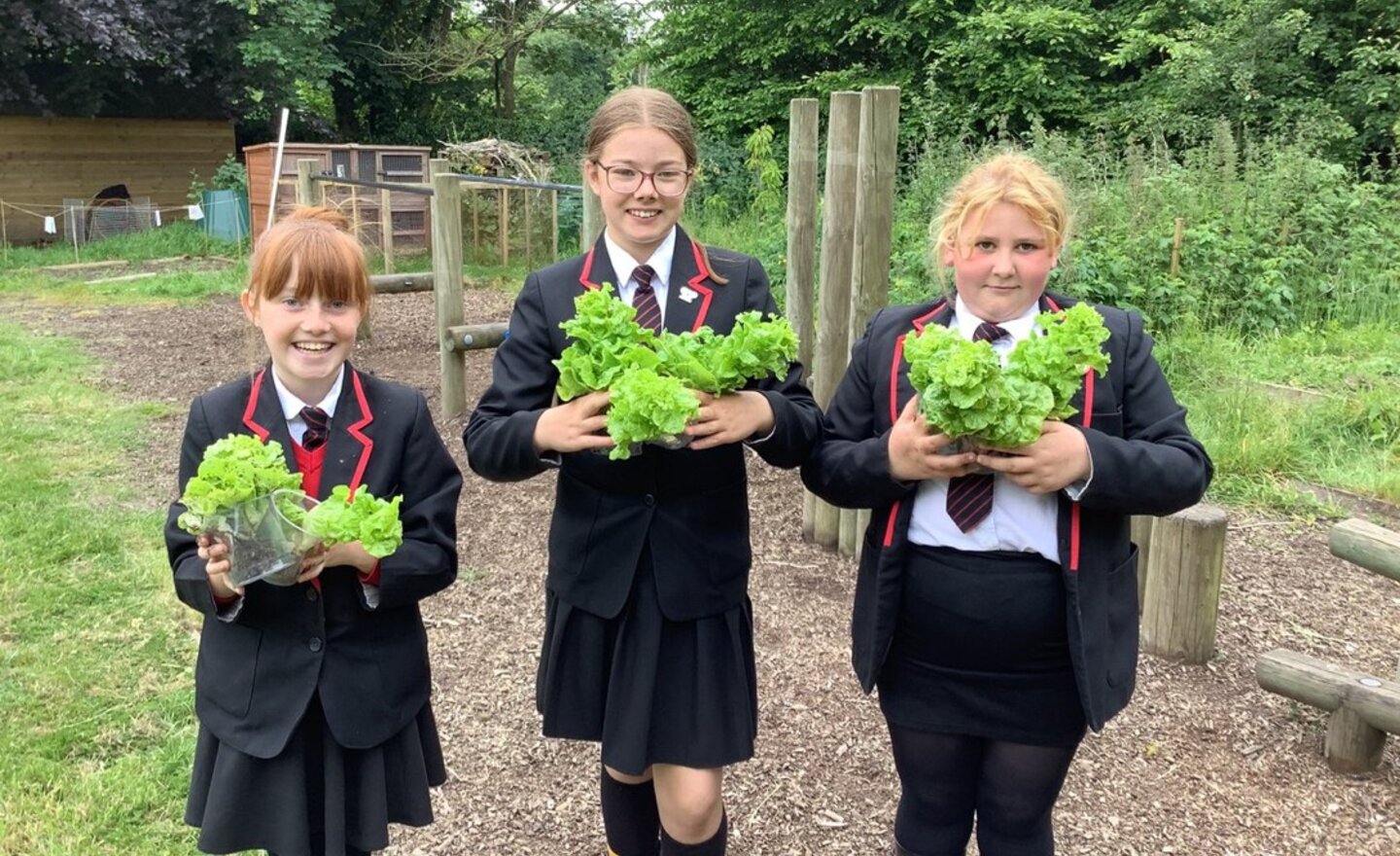 Image of Anyone peckish