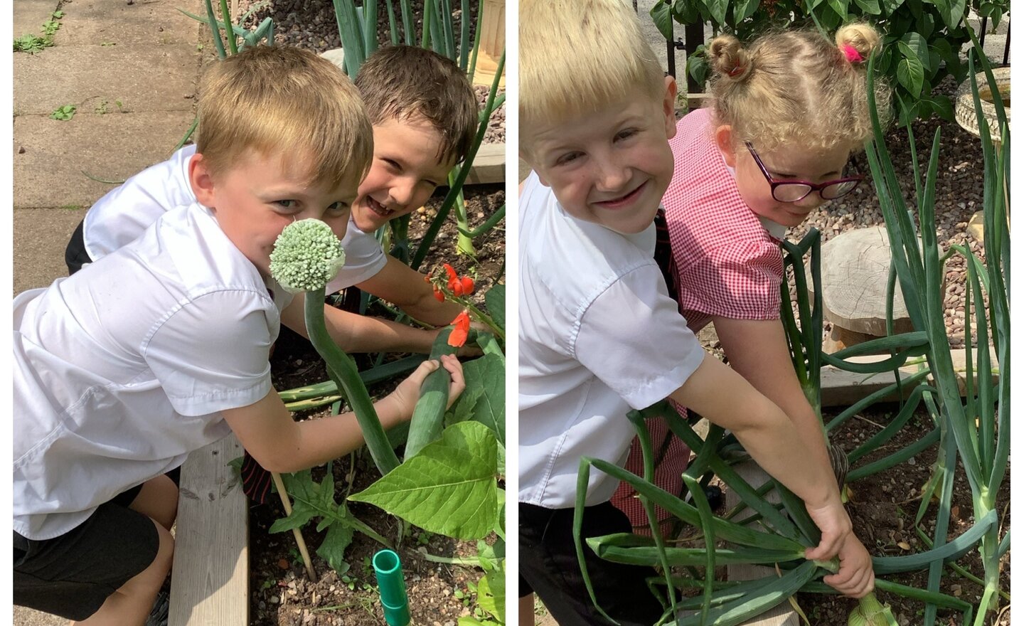 Image of What’s round, white and giggles?