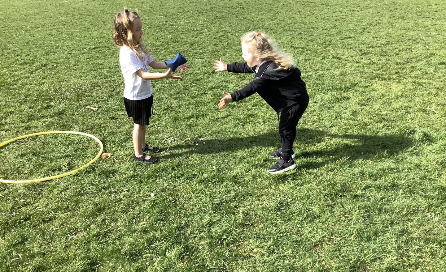 Image of Information for the summer one half term.