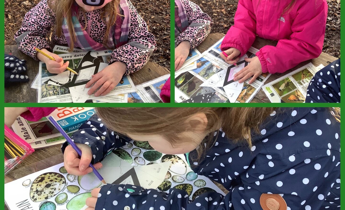 Image of Learning about birds