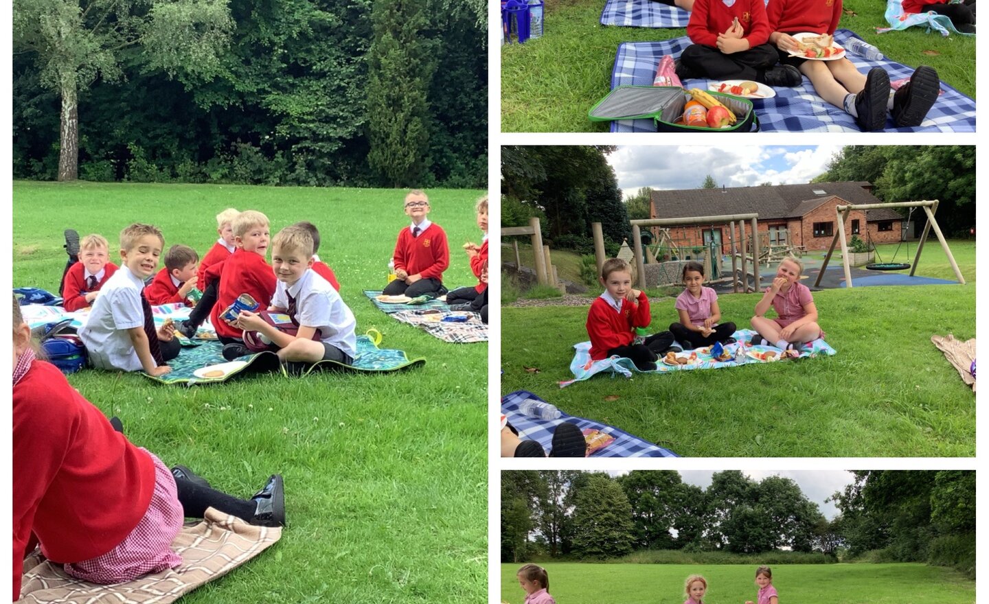 Image of Picnic in the sunshine