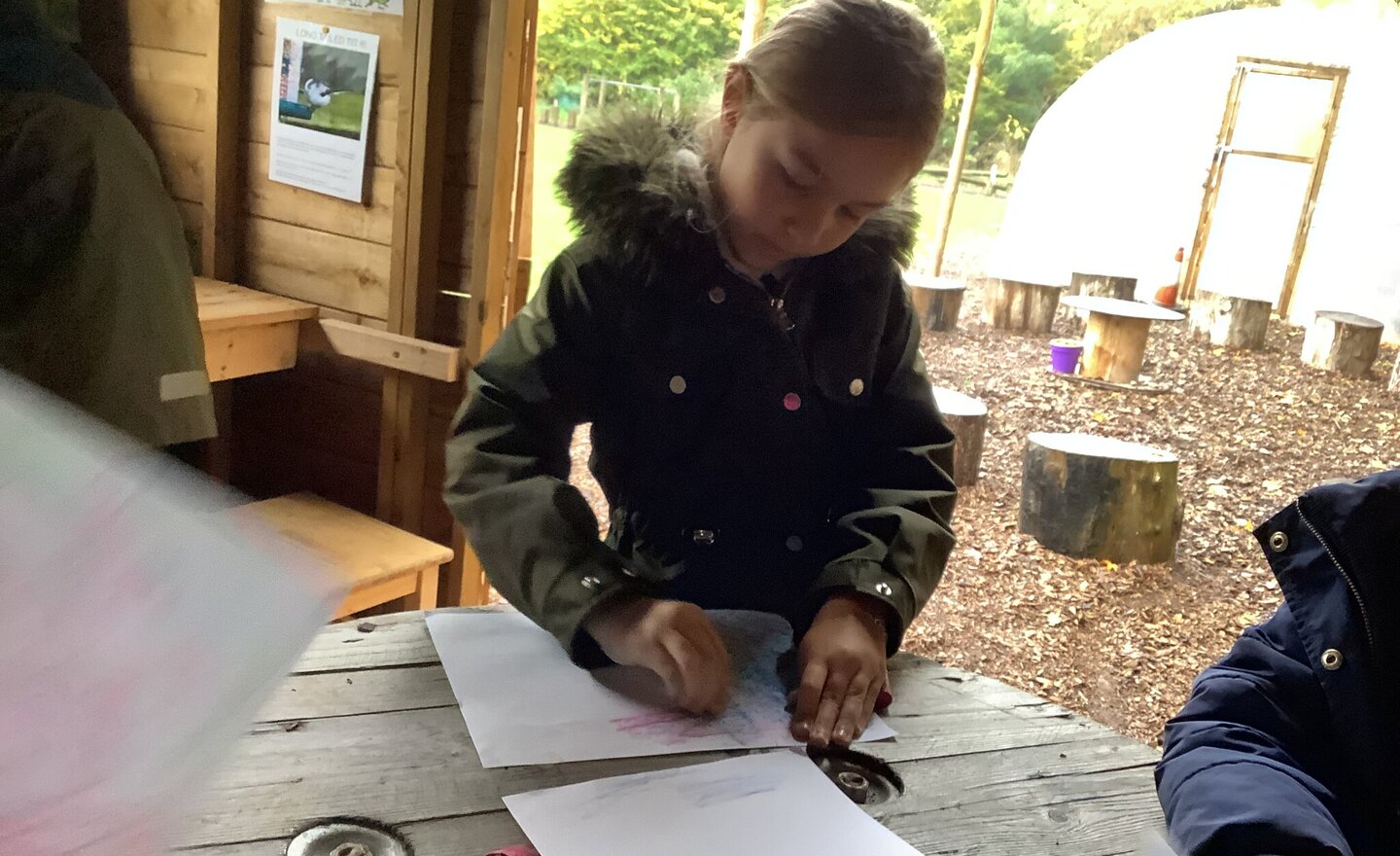 Image of Class 2 Art