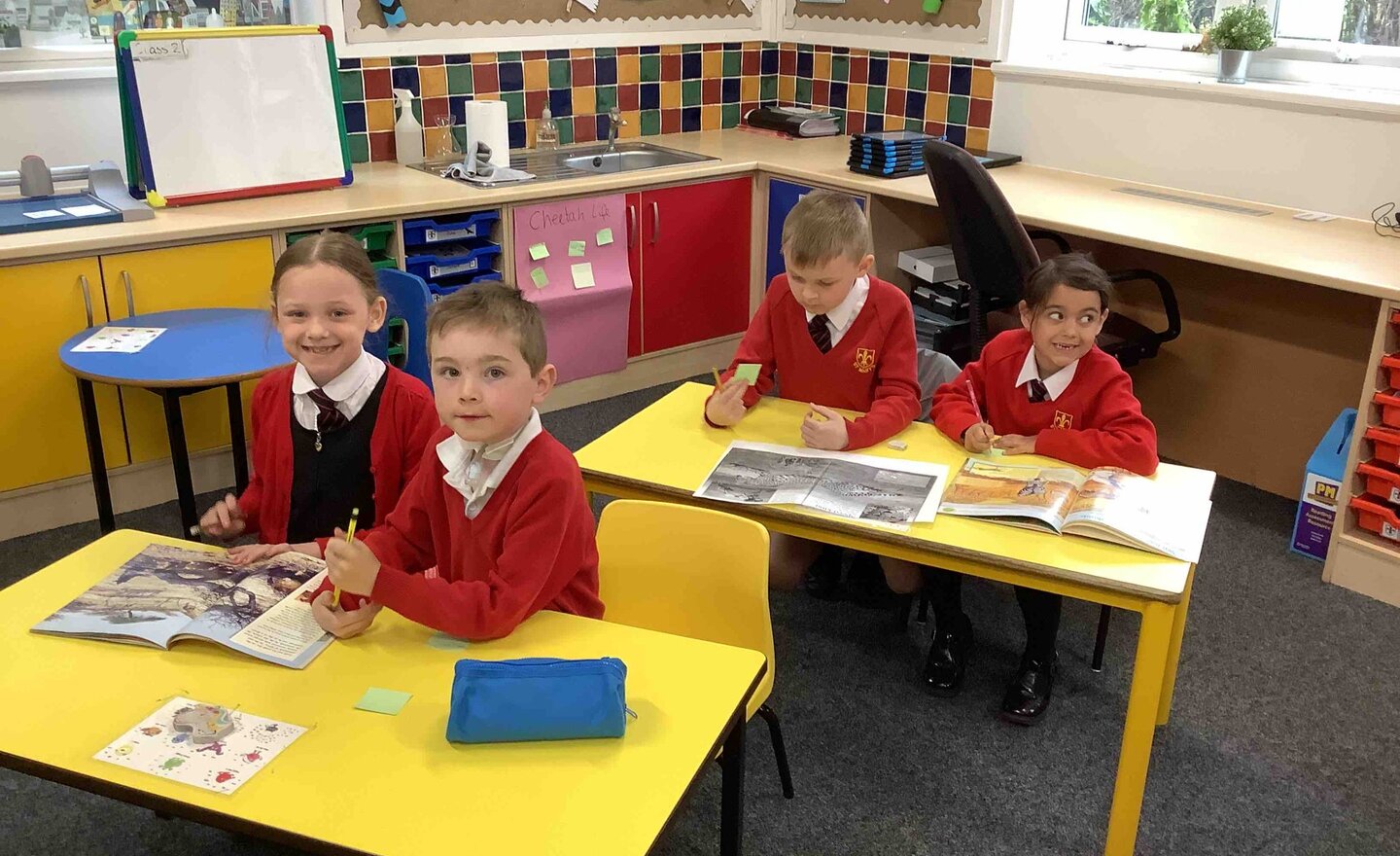 Image of Fact finding