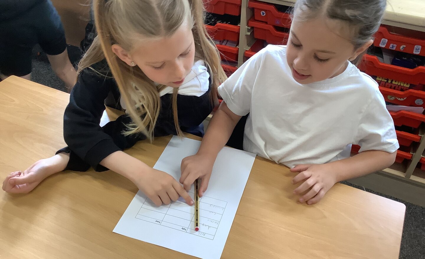 Image of Tally Charts