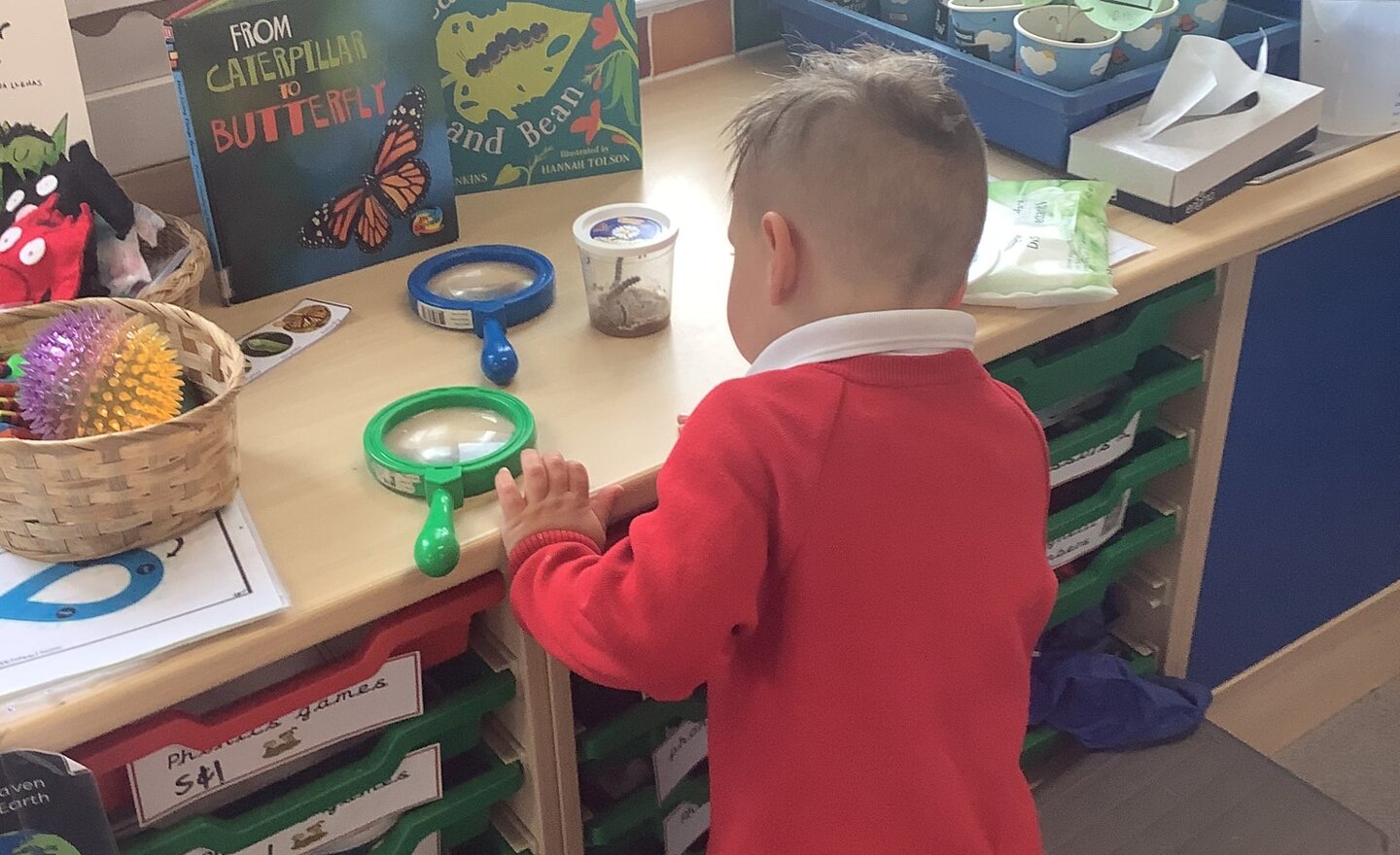 Image of Transformation of our caterpillars! 