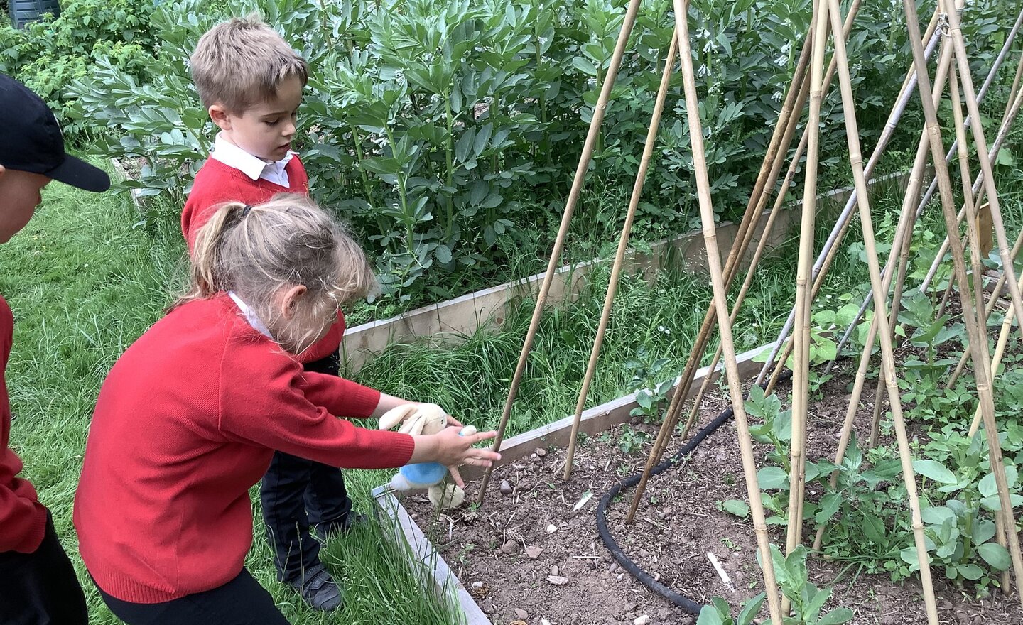 Image of The Tale of Peter Rabbit