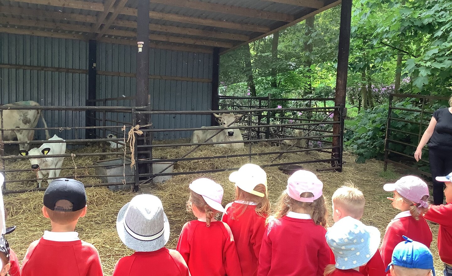 Image of Class one had a super time at the farm!