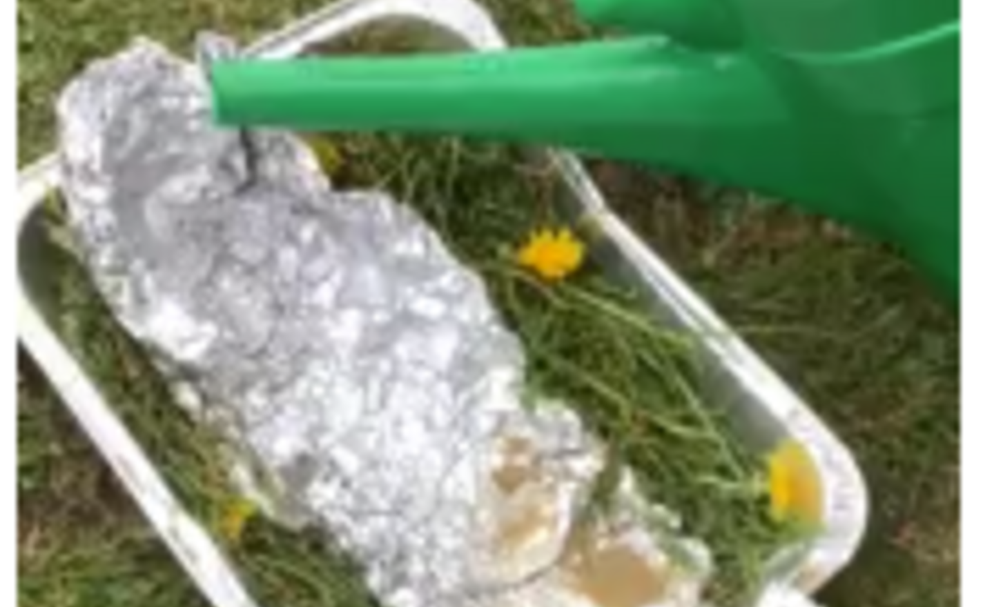 Image of A busy week! 