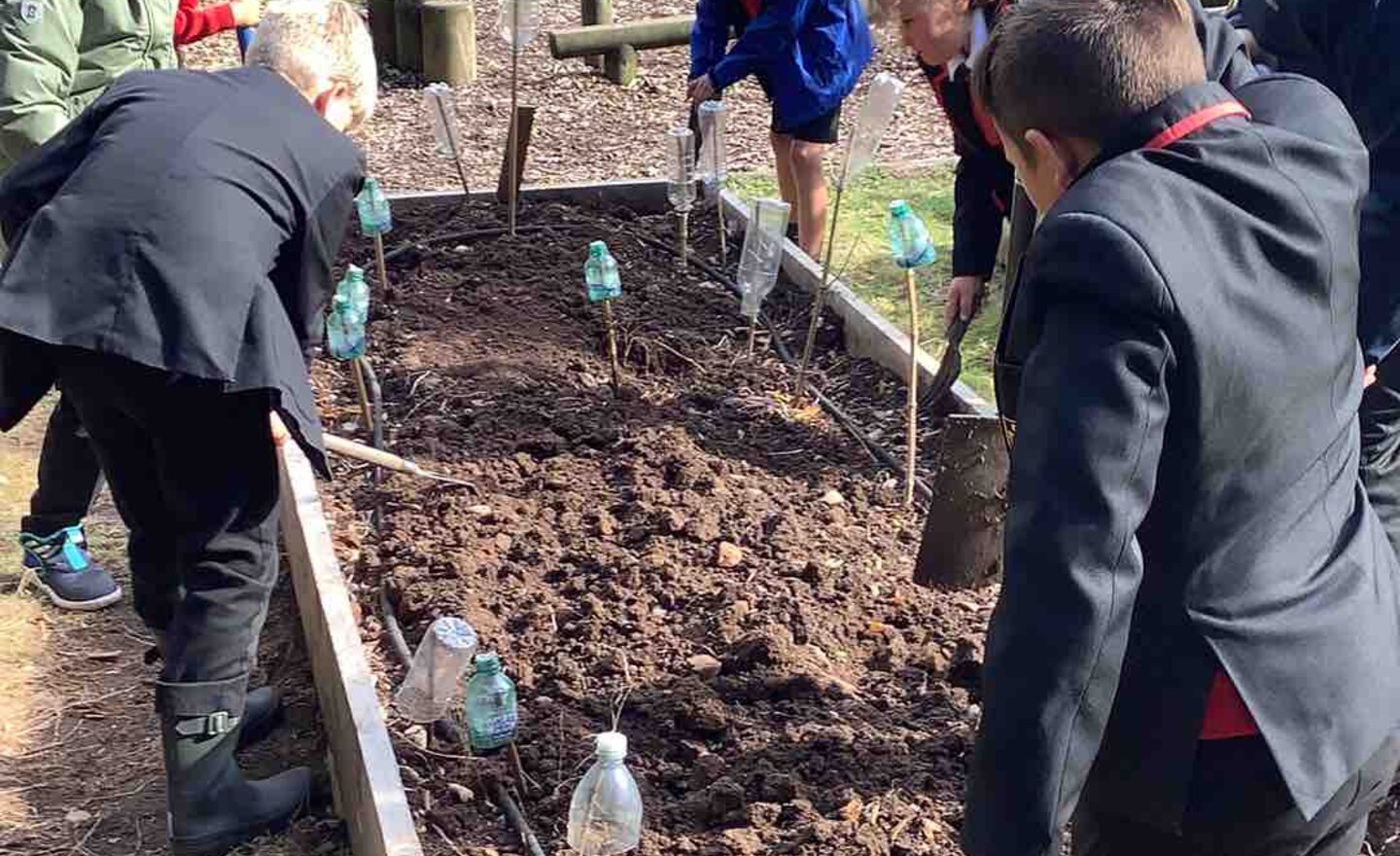 Image of Preparing our raised beds 