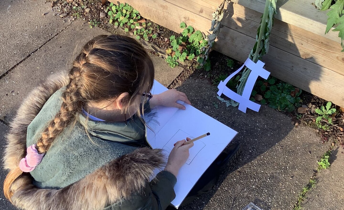 Image of Drawing from observation