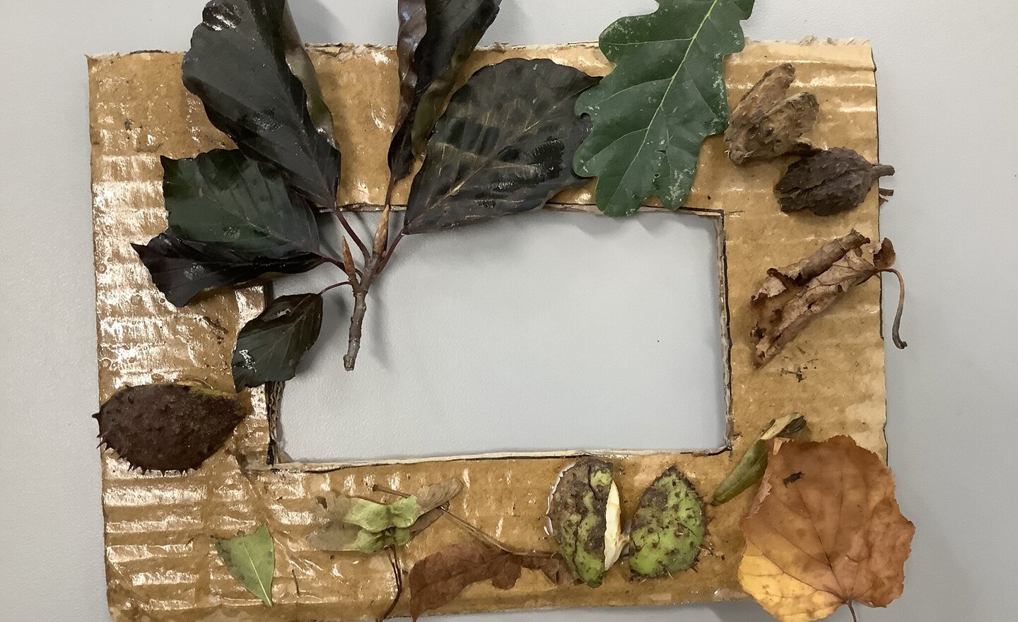 Image of Forest school fun! 