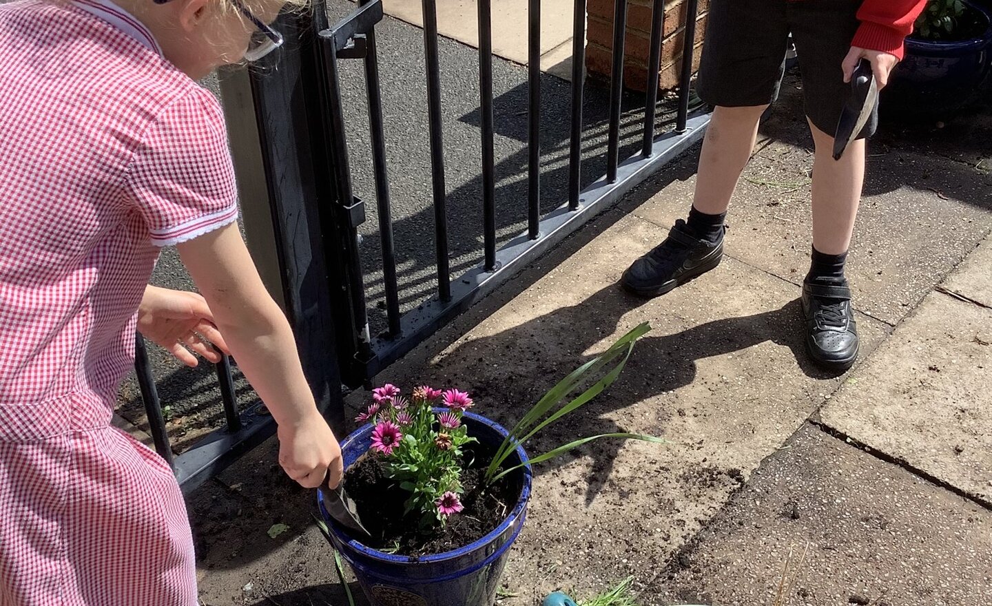 Image of Gardening this afternoon