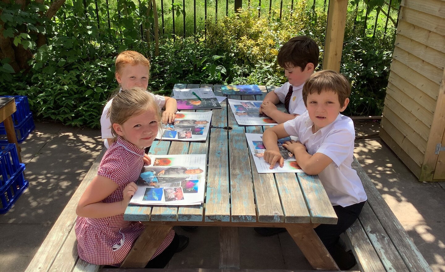 Image of Reading in the sun!