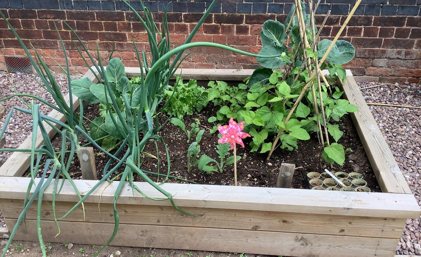 Image of Gardening fun in the sun!