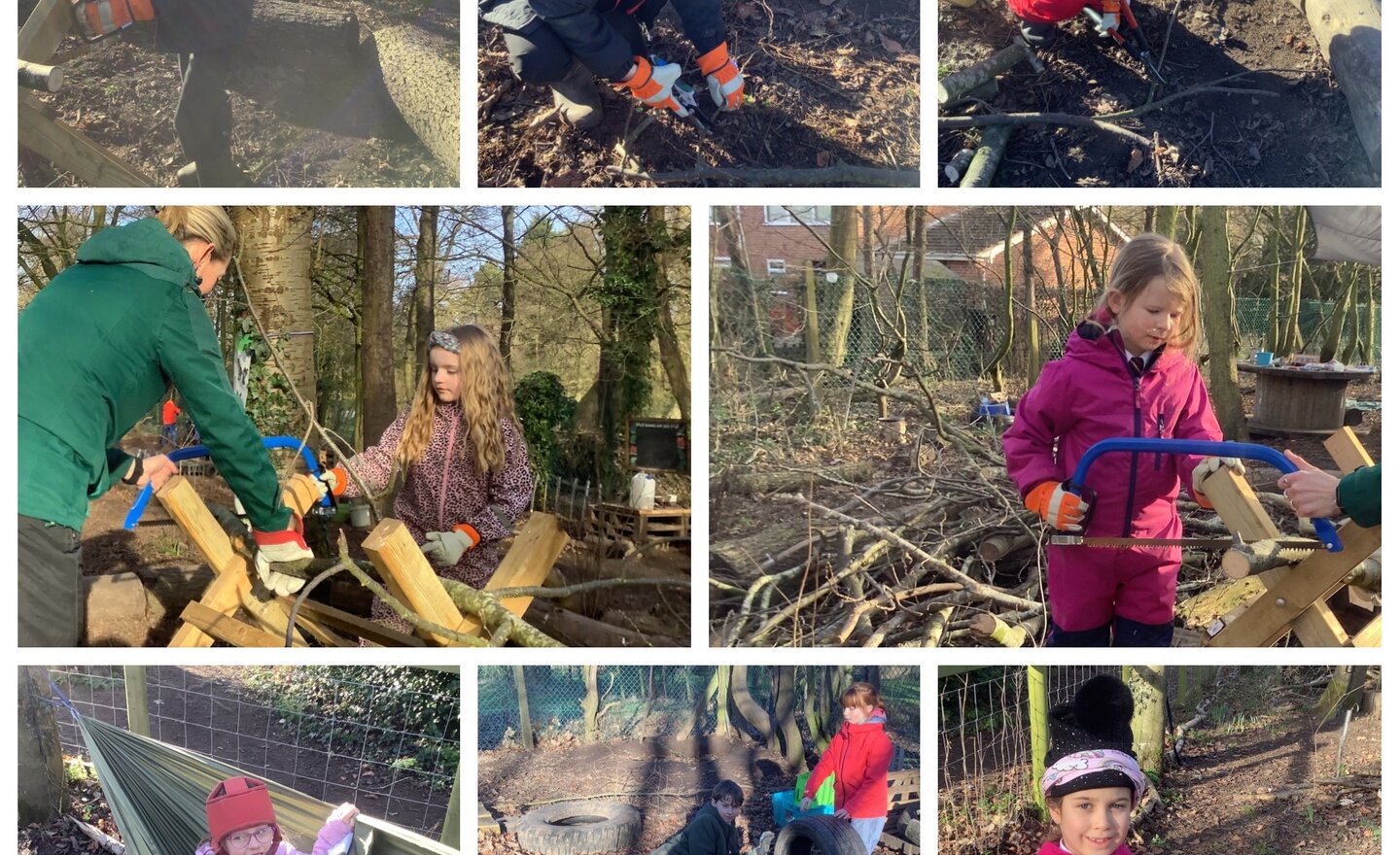 Image of Bowsaws, loppers and secateurs