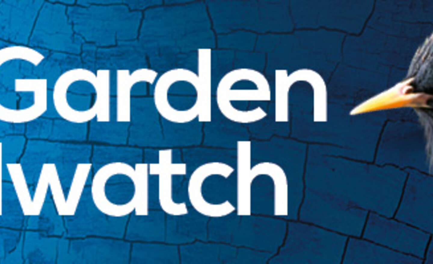 Image of Friday’s Big Birdwatch