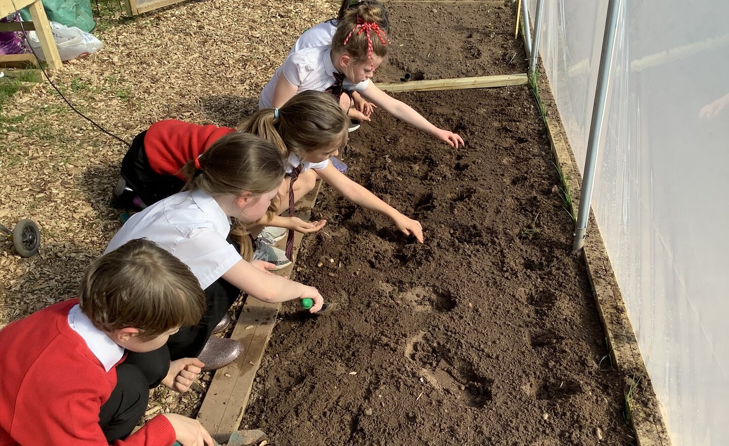 Image of Gardening fun