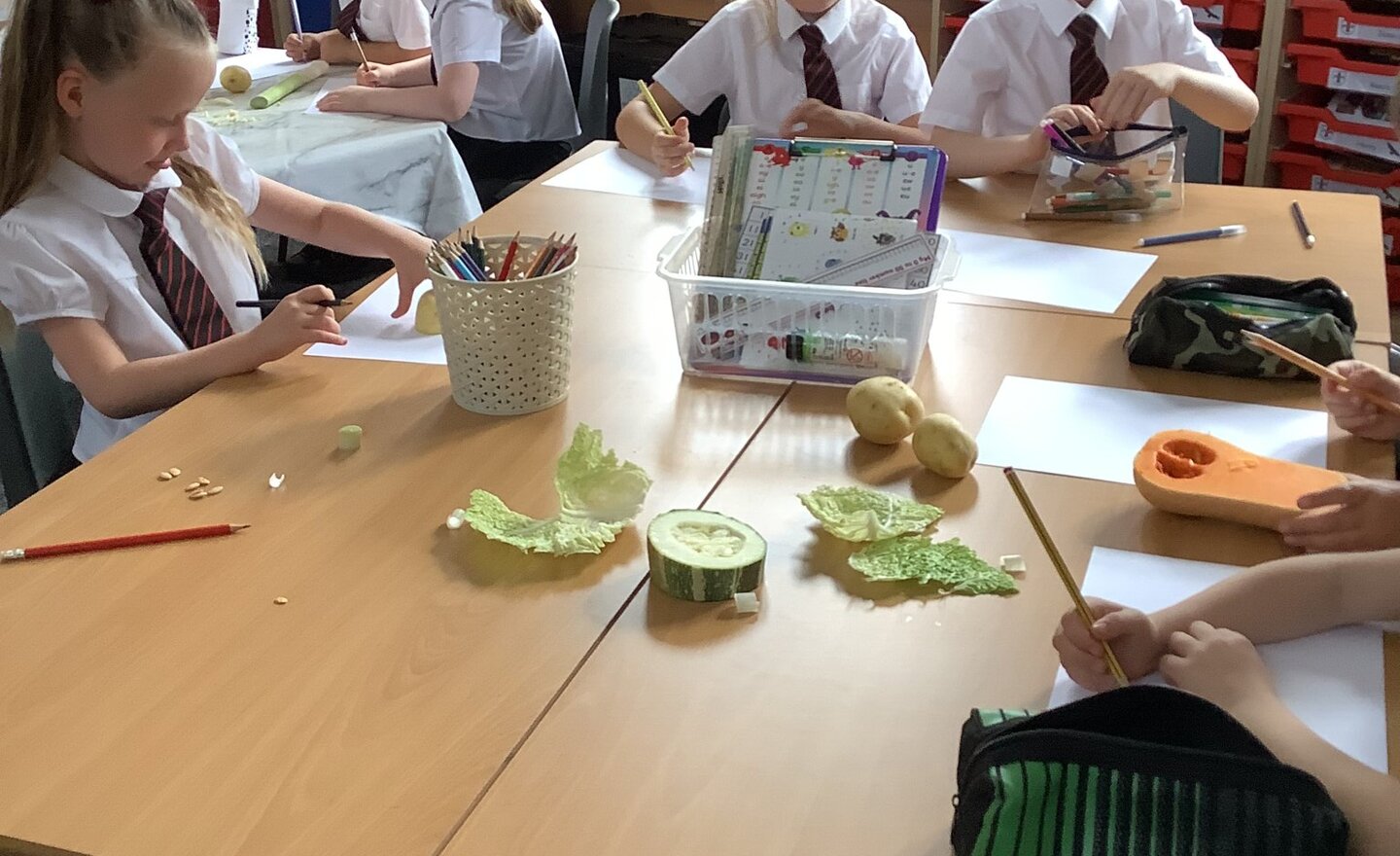 Image of All about vegetables 