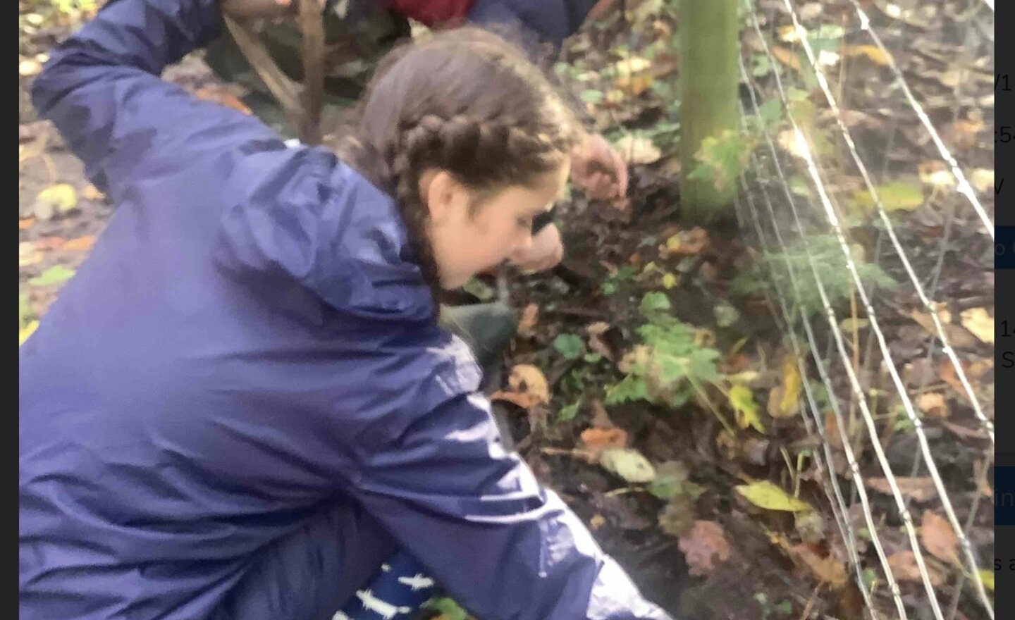 Image of Woodlands Trust