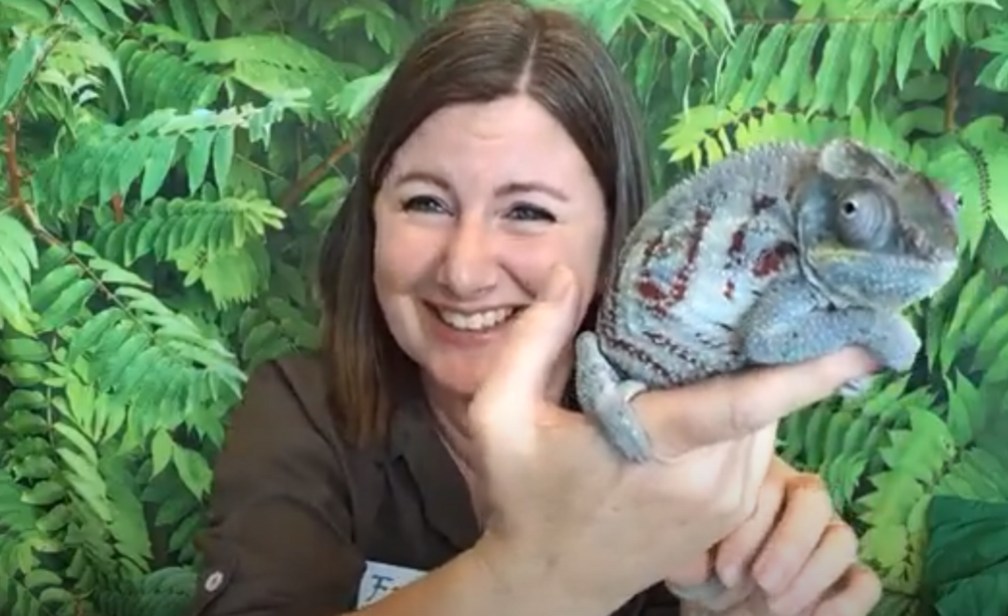 Image of Fantastic Frazoo!