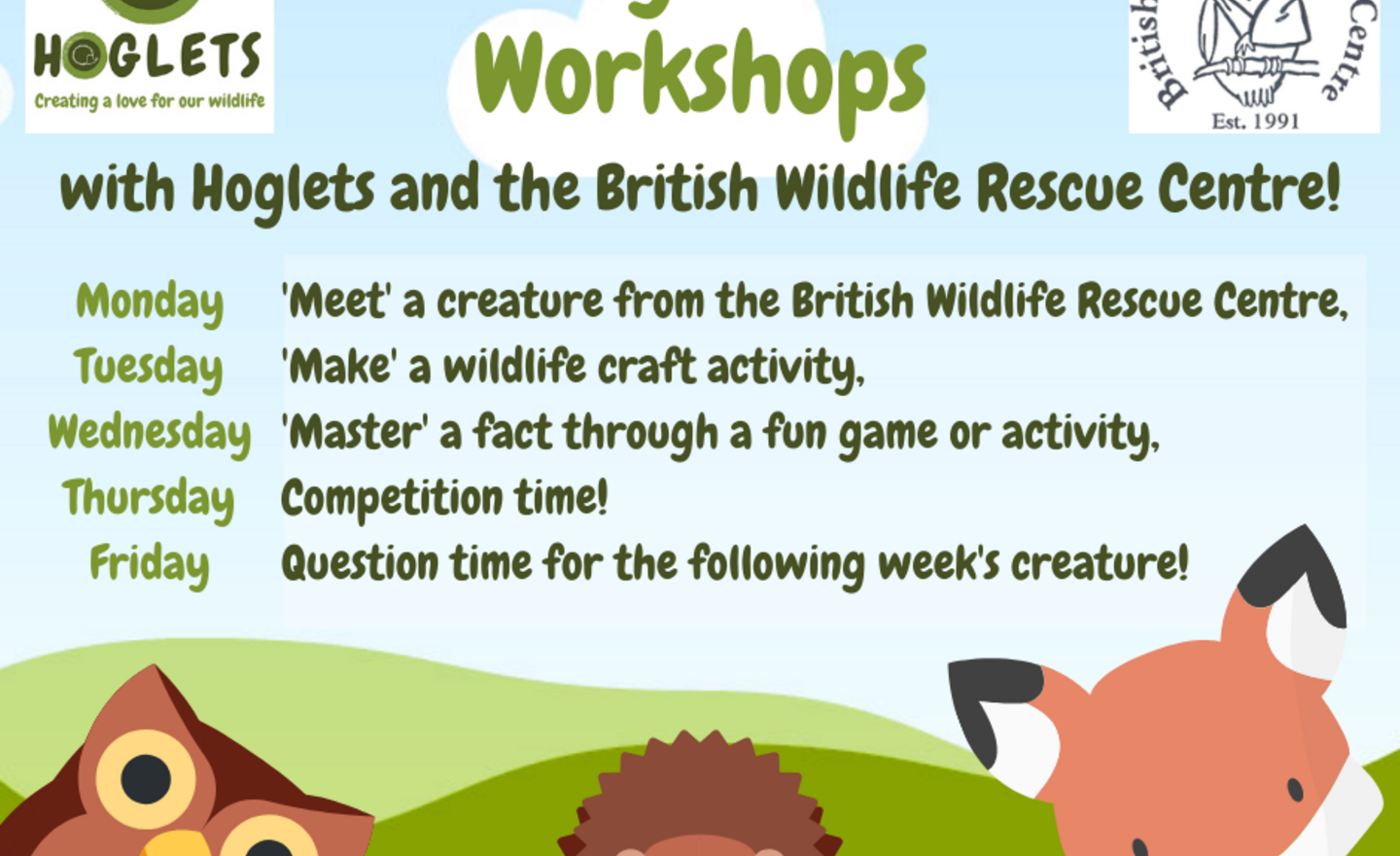 Image of Hoglets weekly wildlife workshops!