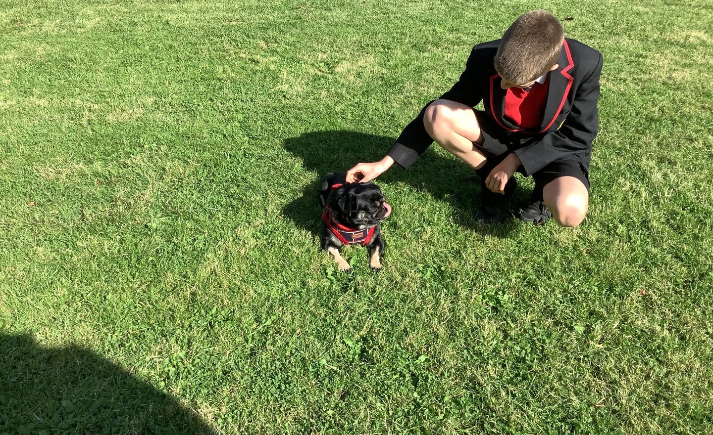 Image of We love showing how responsible we are when looking after Ralph! 