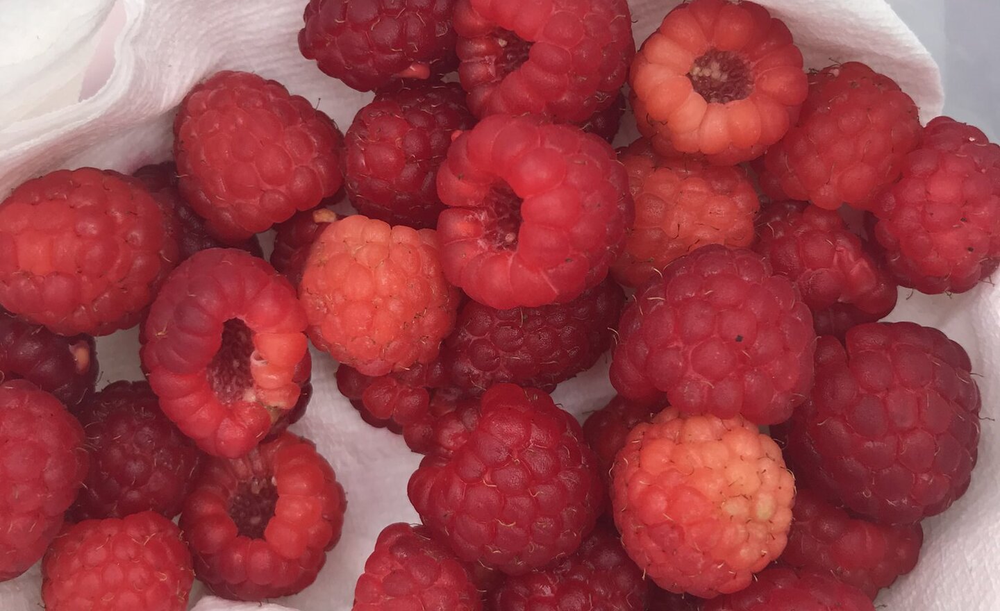 Image of Class 4 Home Learning 06.07.20