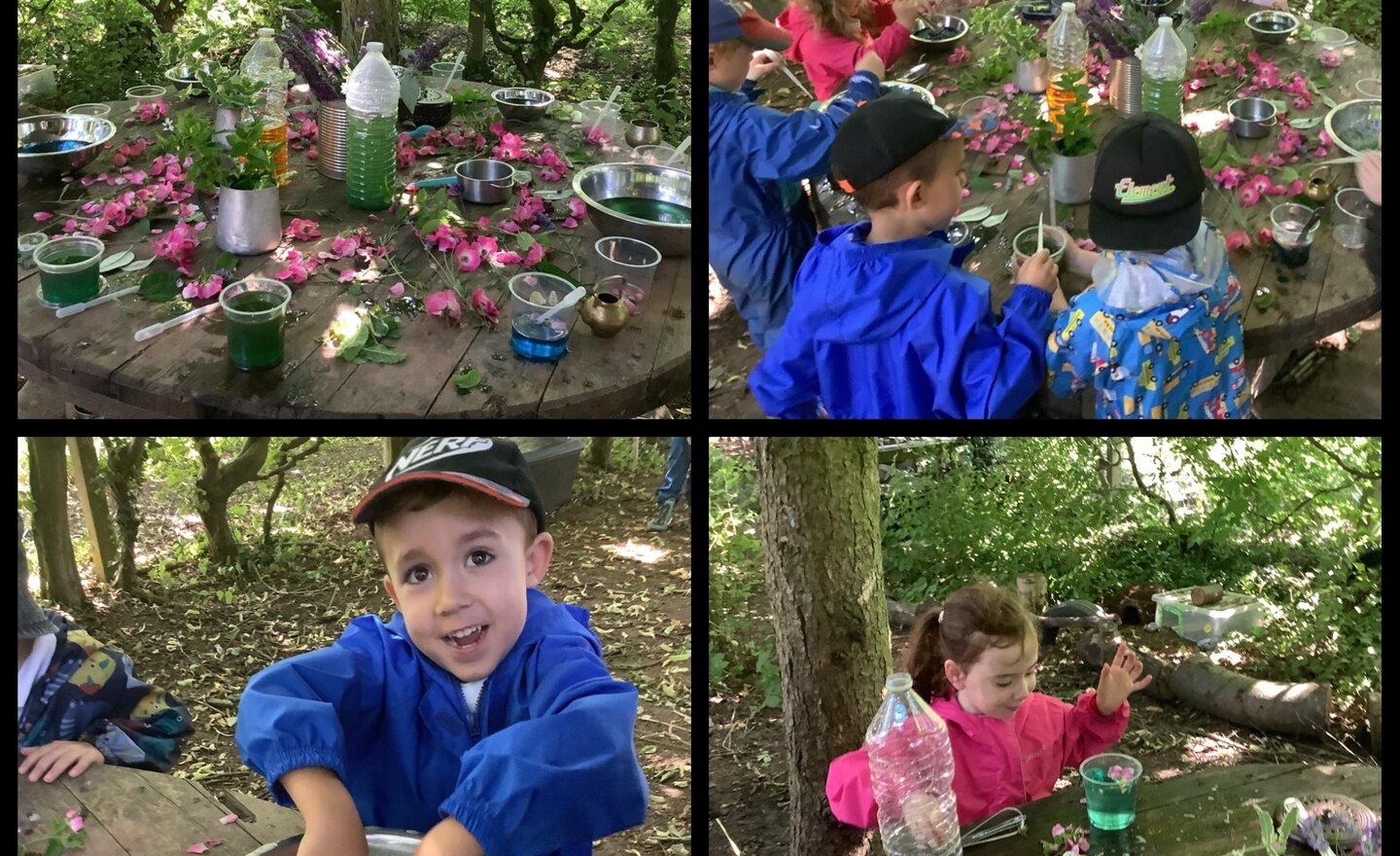 Image of Potions in the woods