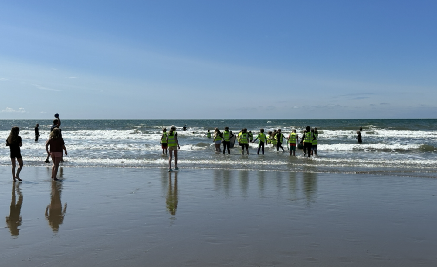 Image of Fun in the sea this afternoon