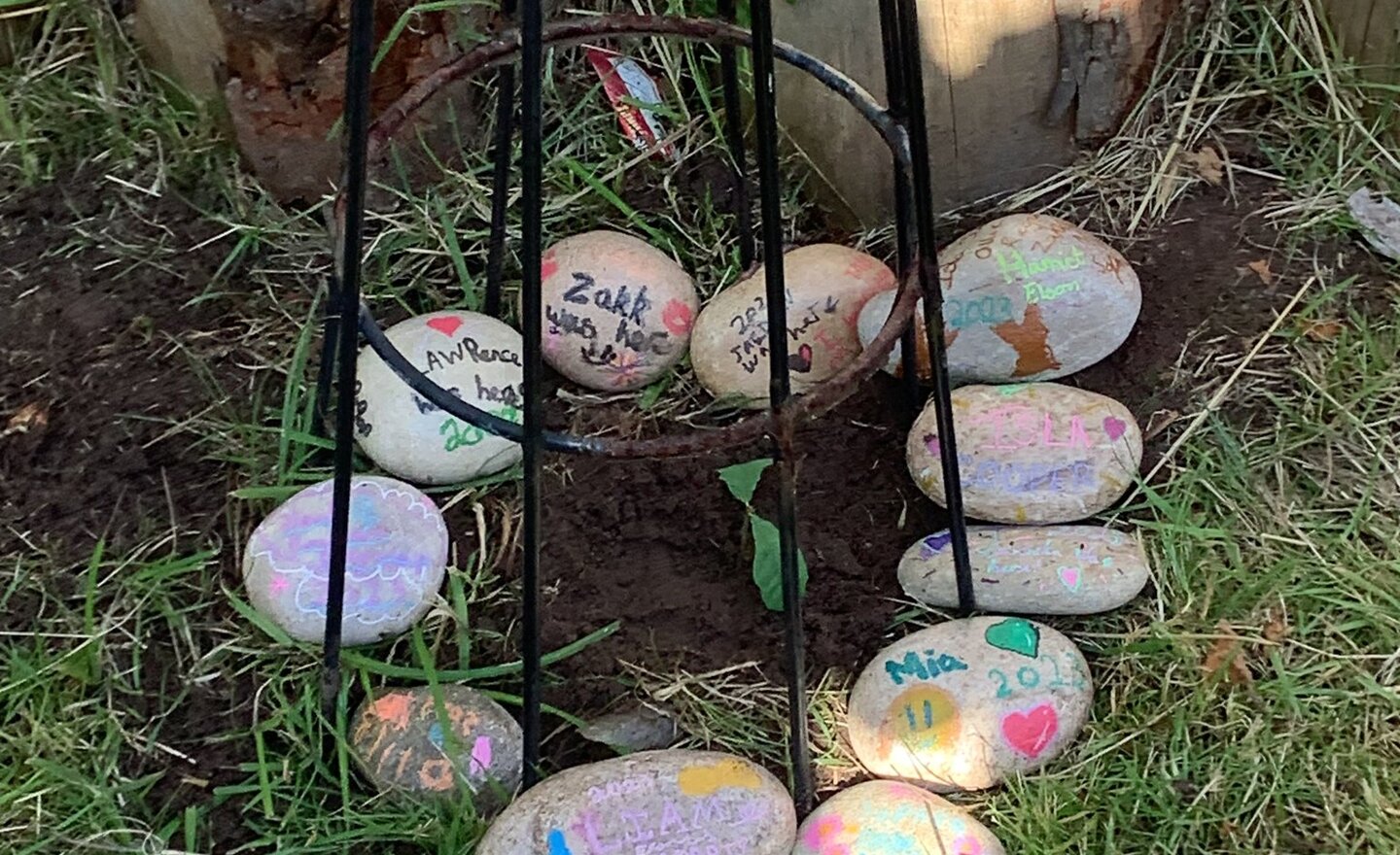 Image of Good luck Year 6- We will always remember you.