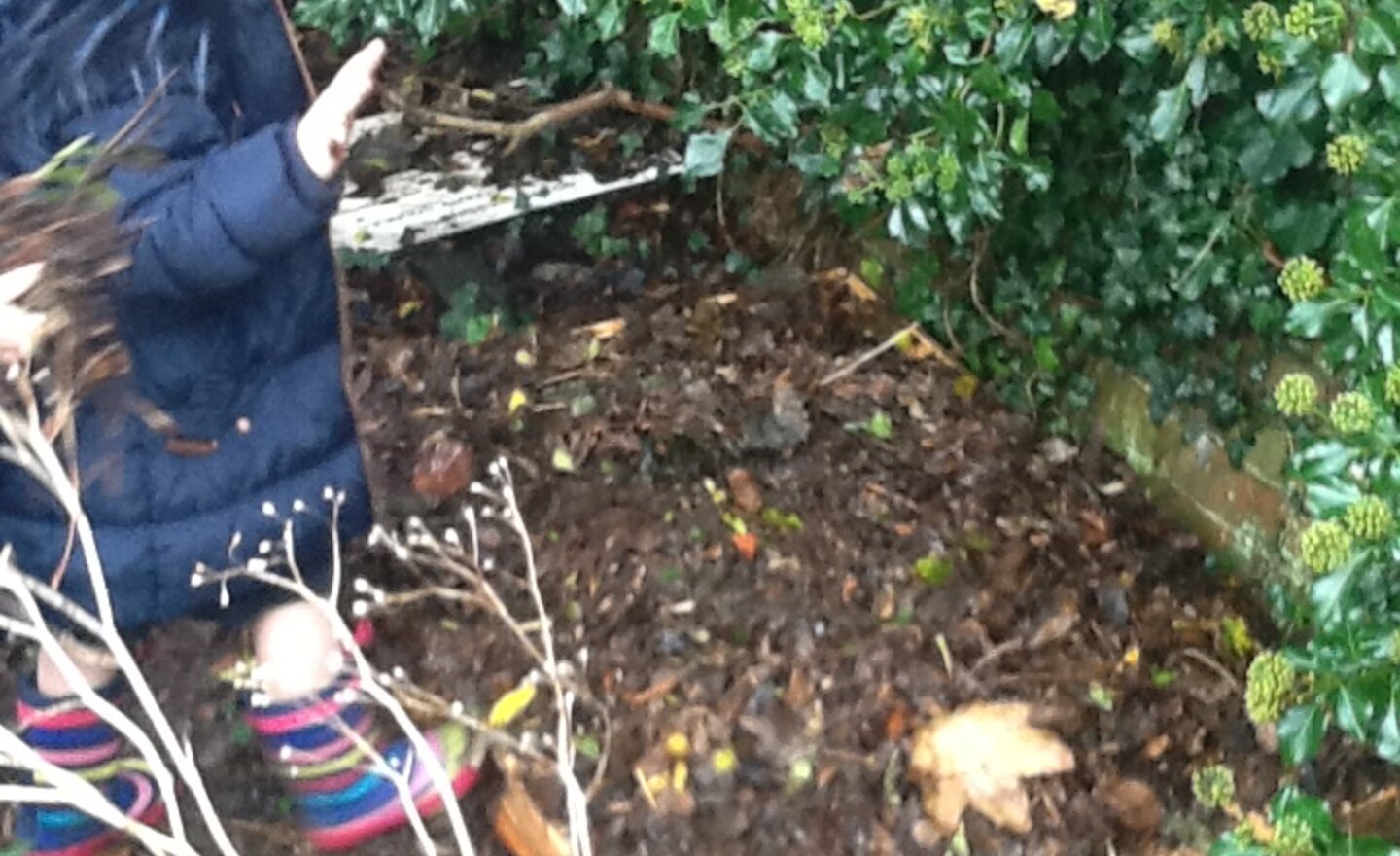 Image of Our finished hedgehog house