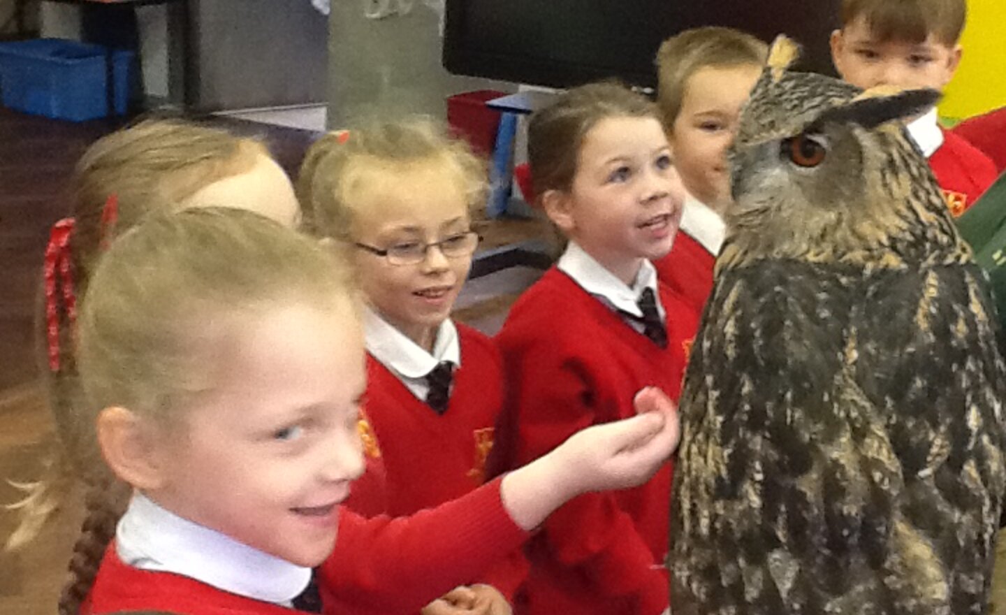 Image of An Exciting Animal Man Visit