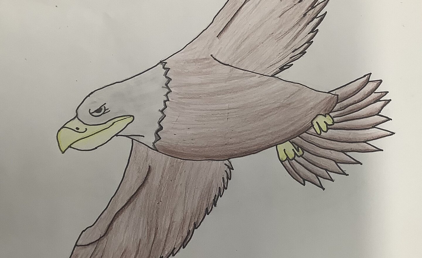 Image of Flying like eagles