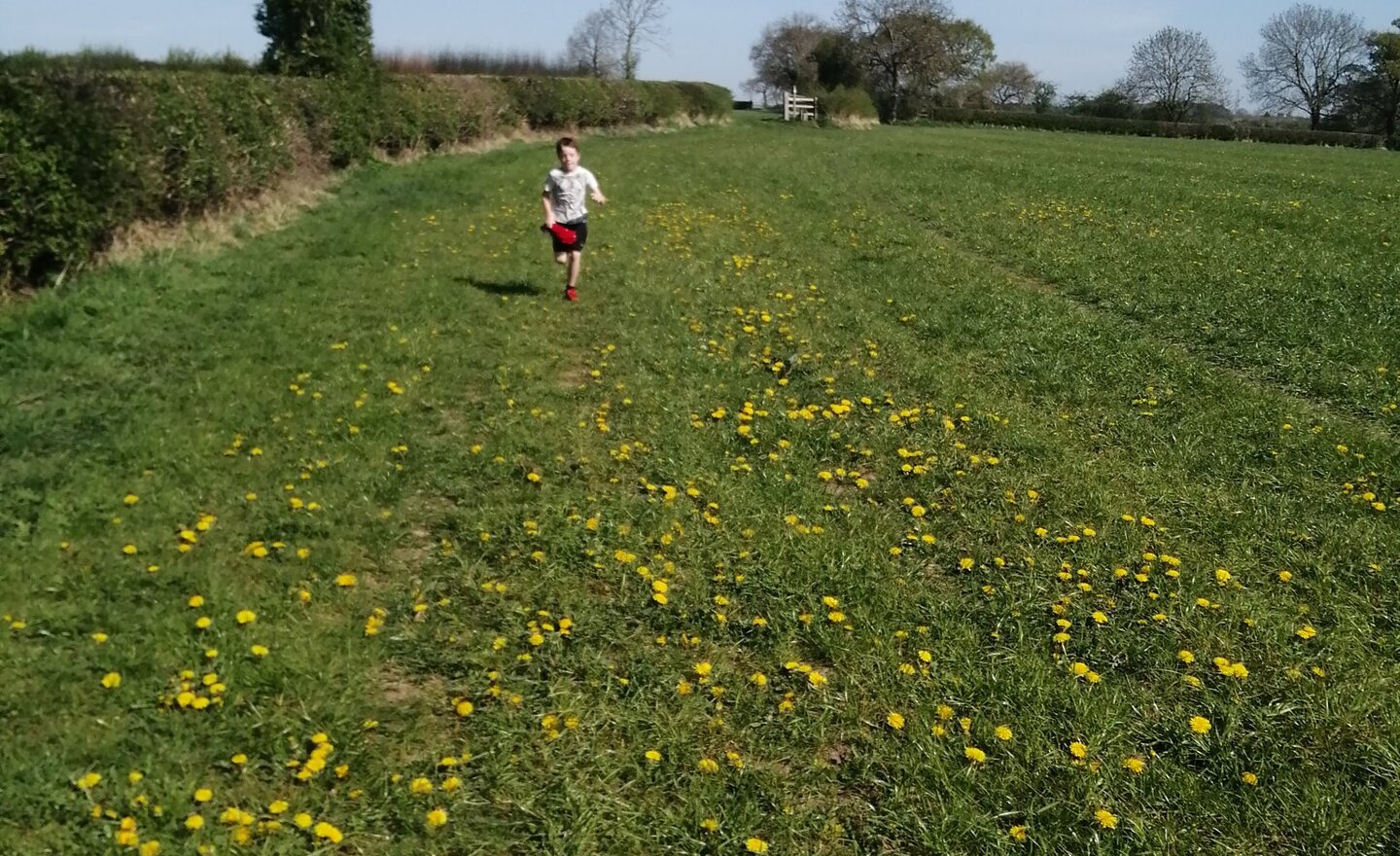 Image of Class 4 school closure work Monday 20th April 