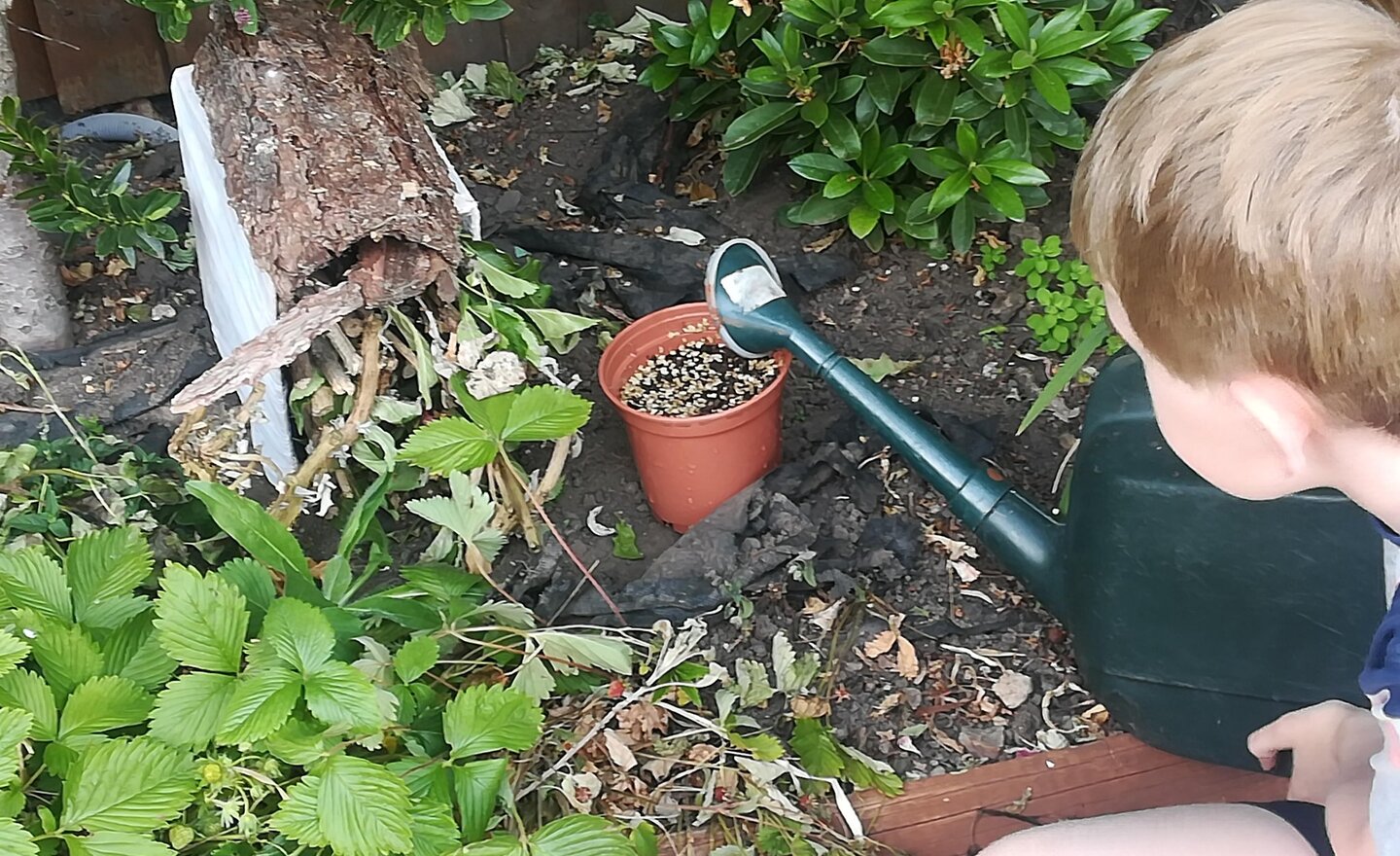 Image of Class 4 Home Learning 15.06.20