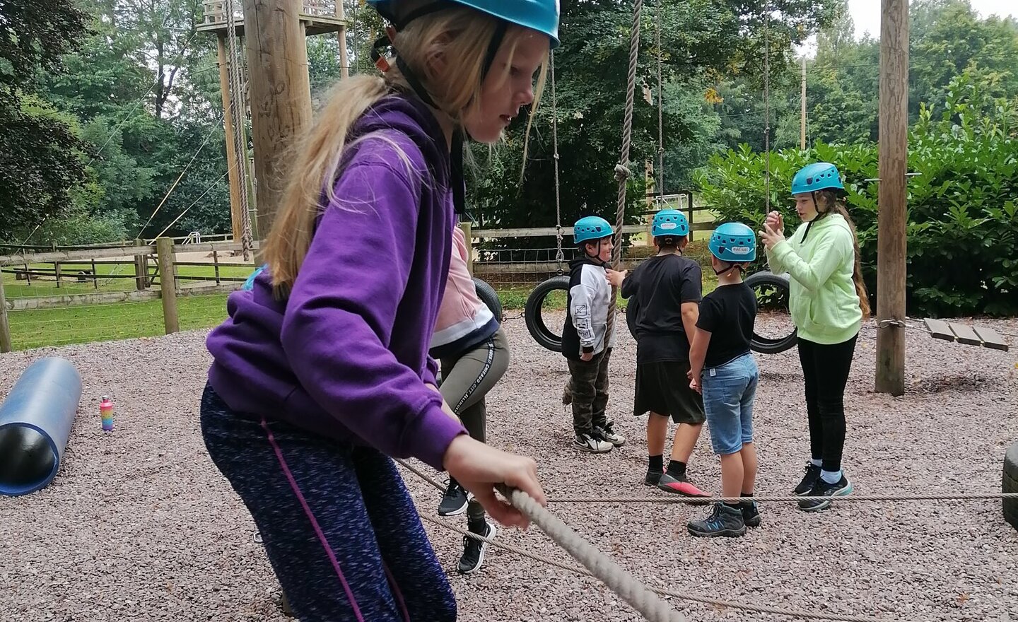 Image of Low Ropes
