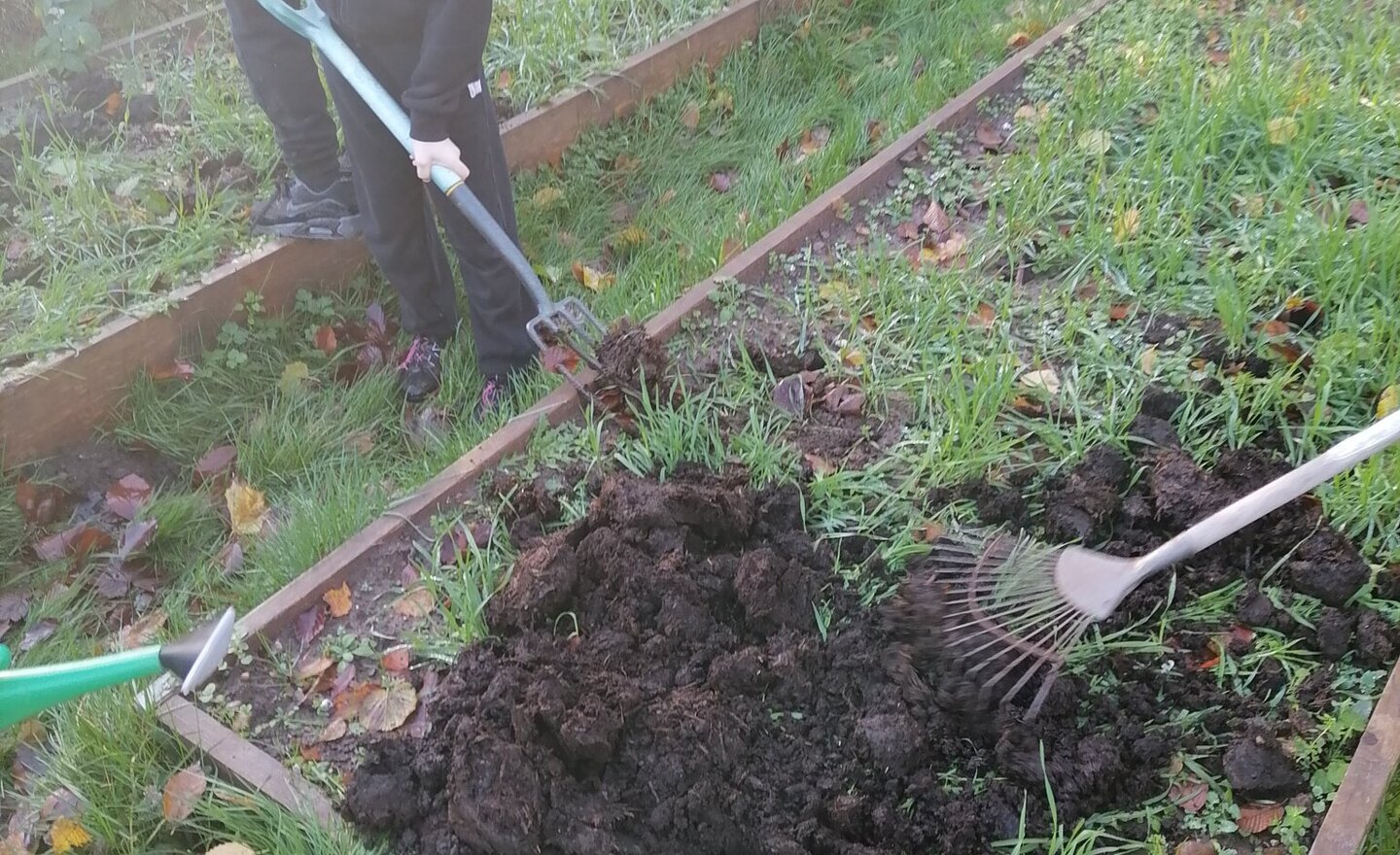 Image of The things we have to do.... 