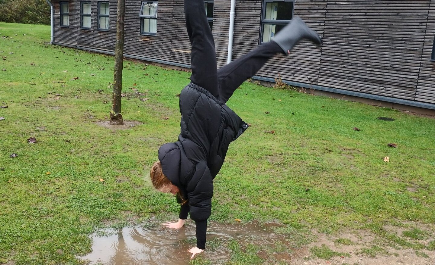 Image of Fun in the mud 