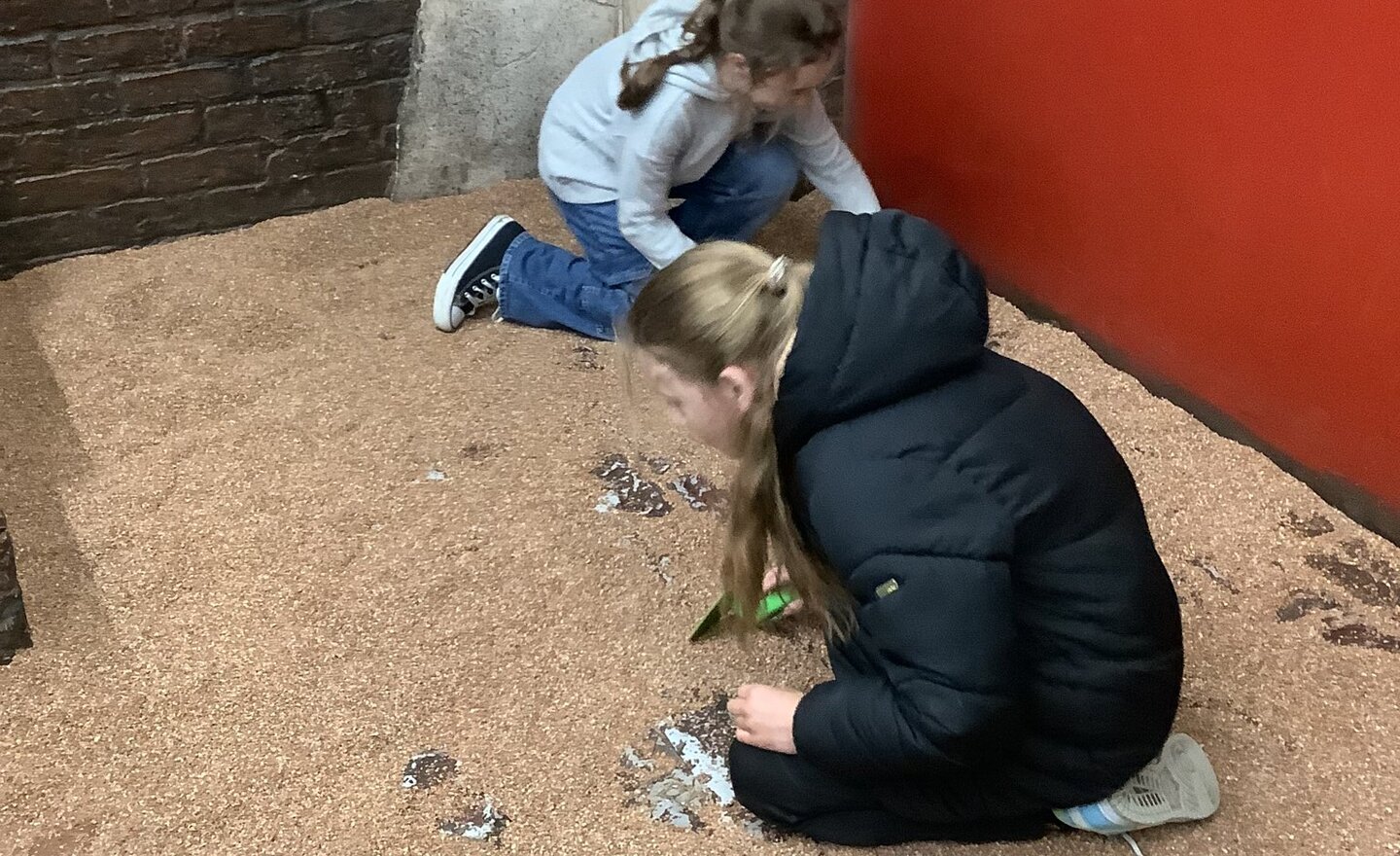 Image of Viking Dig Time….