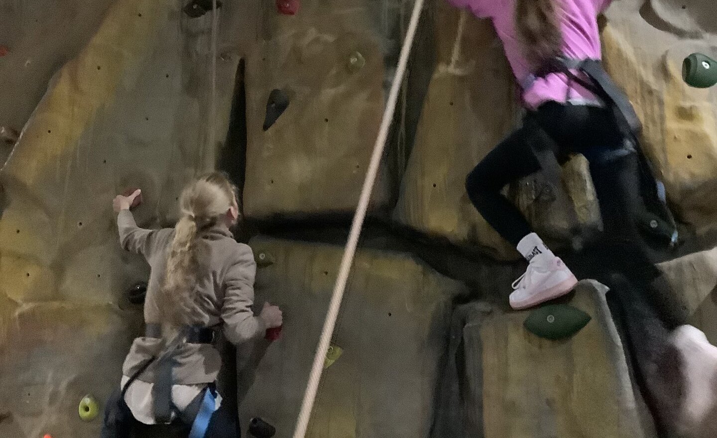Image of Enjoying the climbing wall today…..