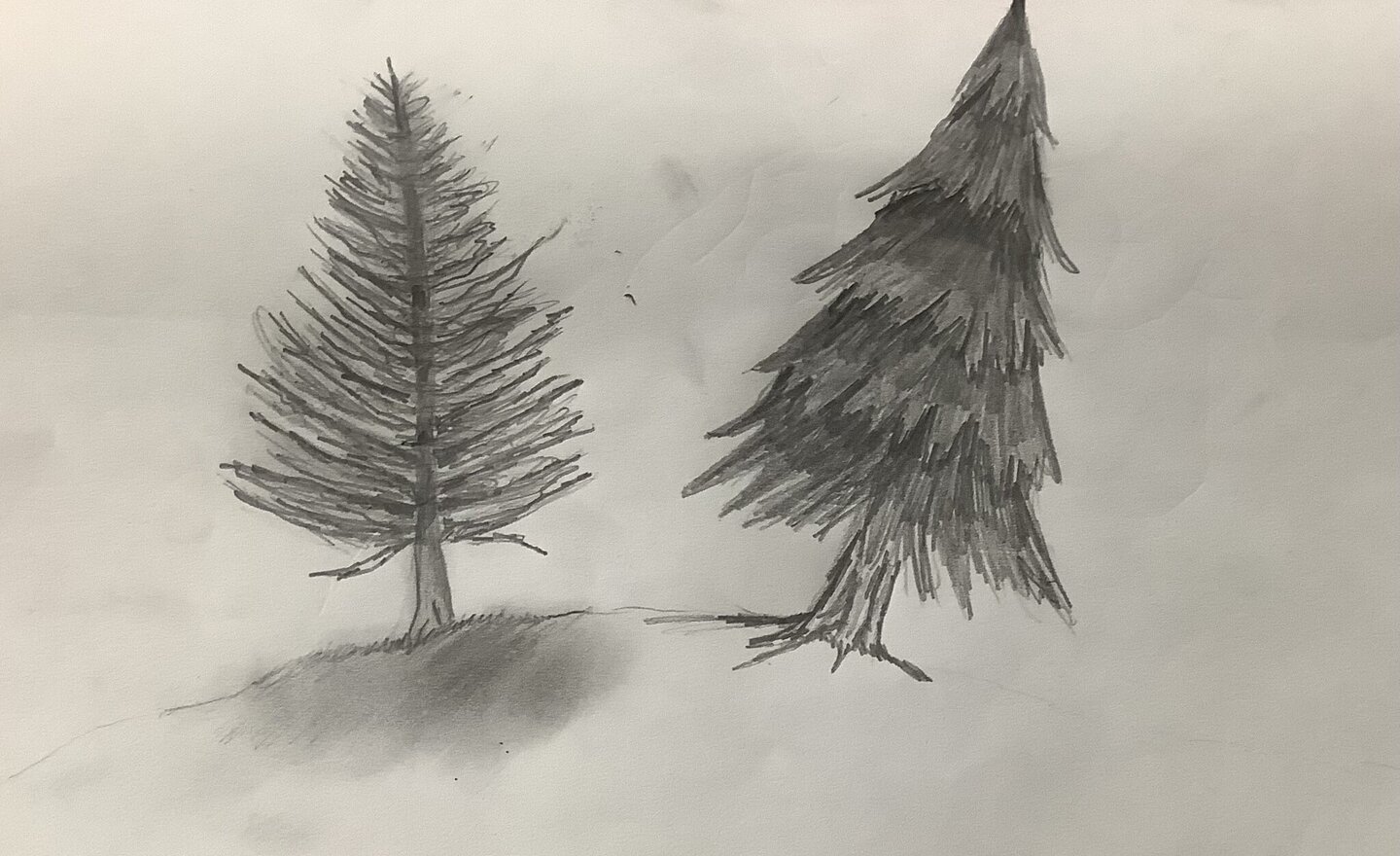 Image of Drawing Trees in Art
