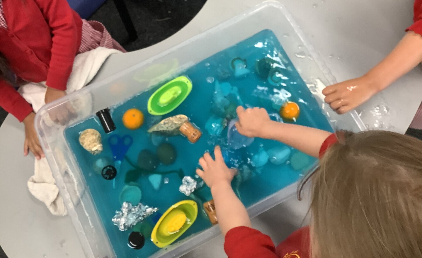 Image of Will it float or sink? What do you think?