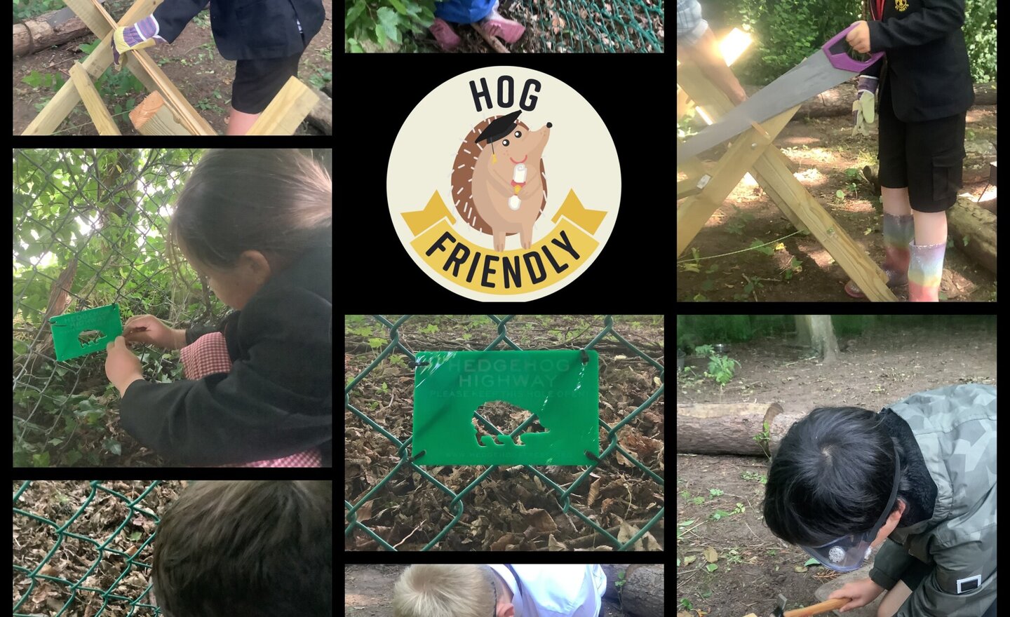 Image of Hedgehog friendly