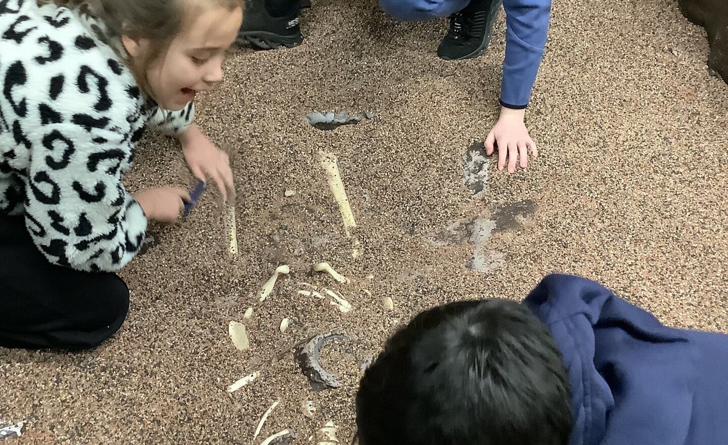 Image of Fun at the Jorvik Dig